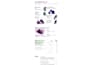 do framer website design, develop framer website as framer website design expert